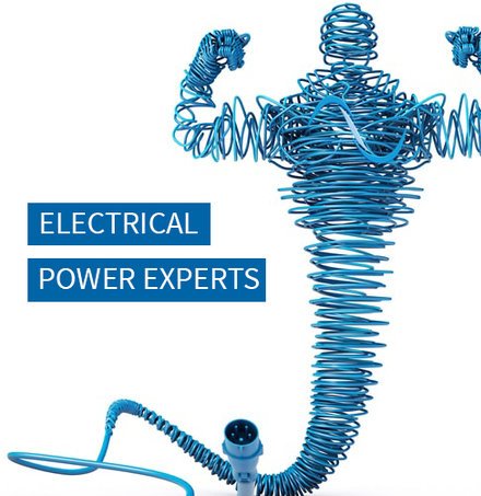 electrical power experts